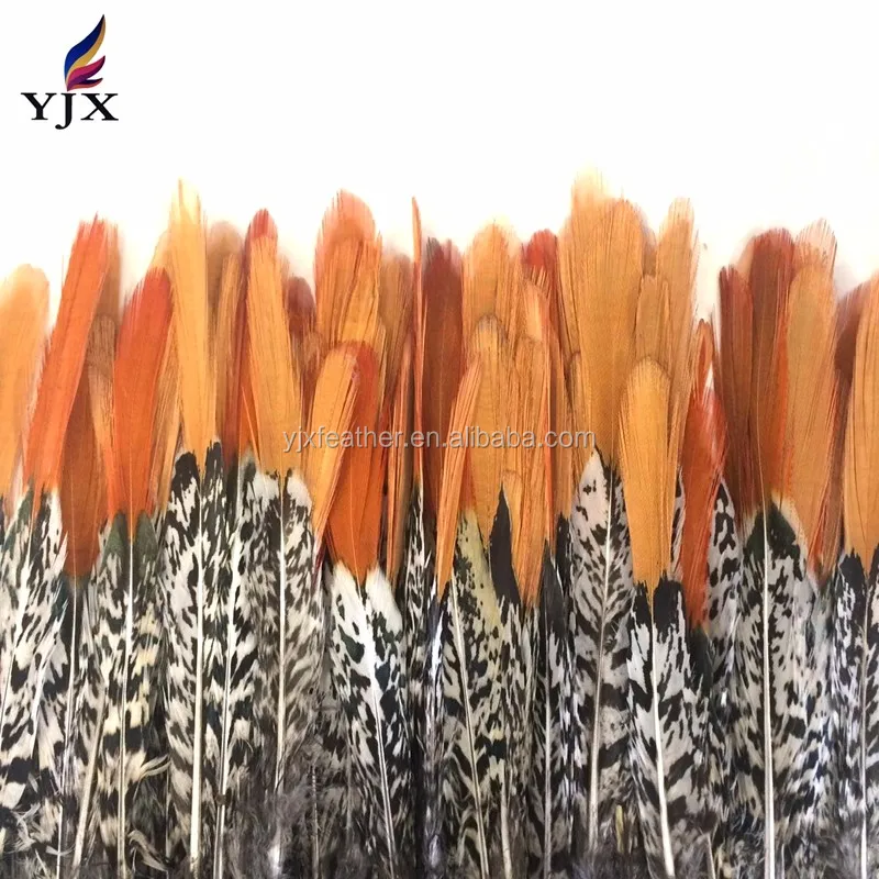 1520cm Lady Amherst Pheasant Feathers For Carnival Costume Buy