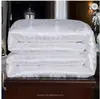 Hot sales 100% Mulberry nice silk blanket