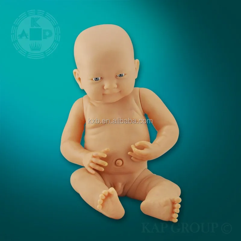 anatomy correct baby doll