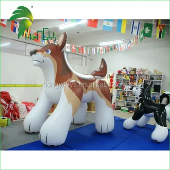 inflatable dog pool toy