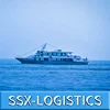 LCL/FCL container sea forwarding service to peru in cost-efficient sea forwarding carriages & international sea shipping courier