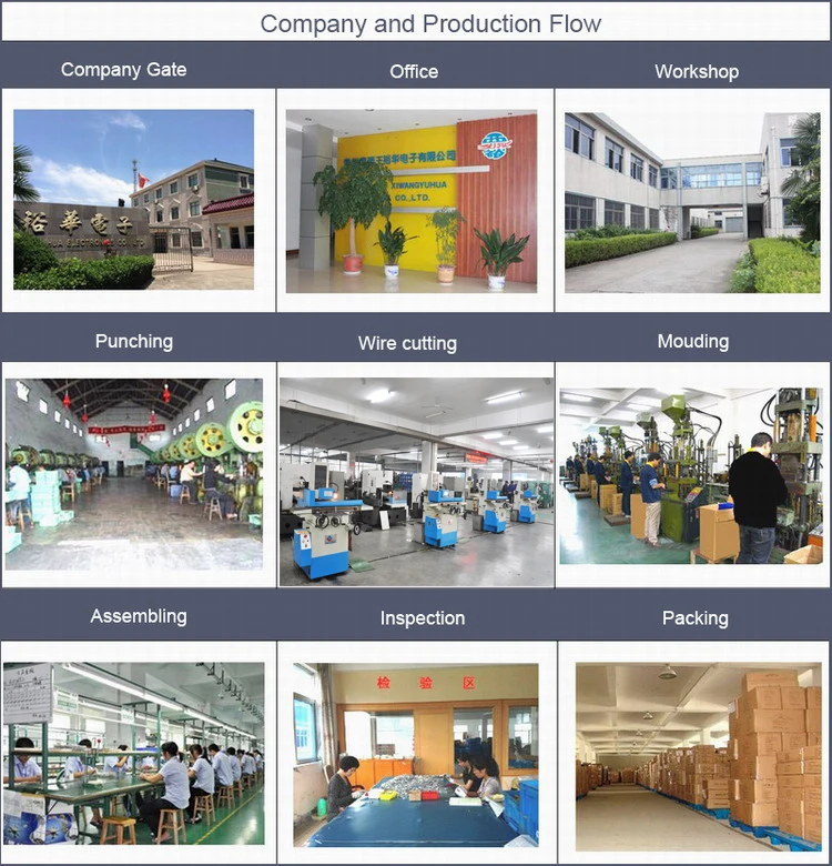 company picture 2.jpg