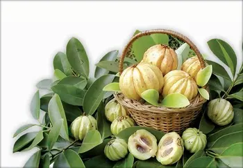 Weight loss free trial offers picture 1
