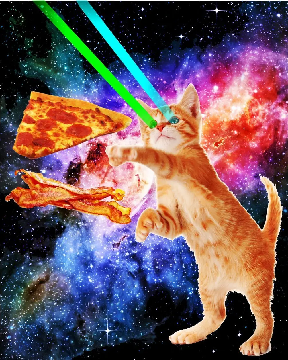 11.99. Space Hunger Flying Cat Pizza Bacon Poster. 