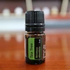 Natural pure tea tree body essential oil price in bulk