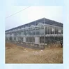 Cheap Price Multi Span Venlo Type Glass Covered Cooling System Greenhouse For Ecological Restaurant