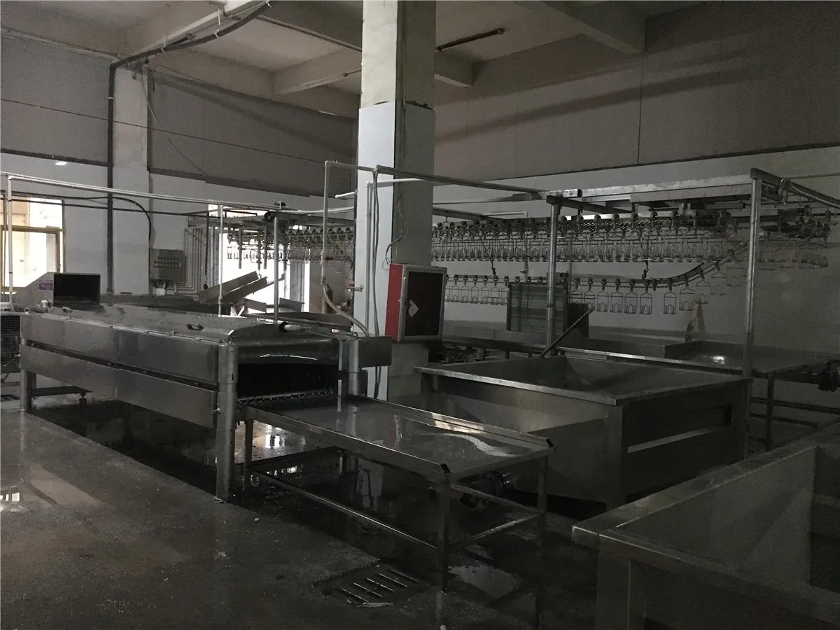 2019 畅销不锈钢自动采鸡机和家禽屠宰设备