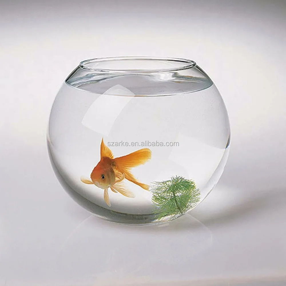 Round-water-clear-acrylic-fish-tank-for.jpg