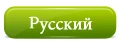 Wooden Handle And Superior Quality Paint Brush