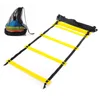 Sports Soccer Football Logo Custom Training Speed Double Agility Ladder Football Cones