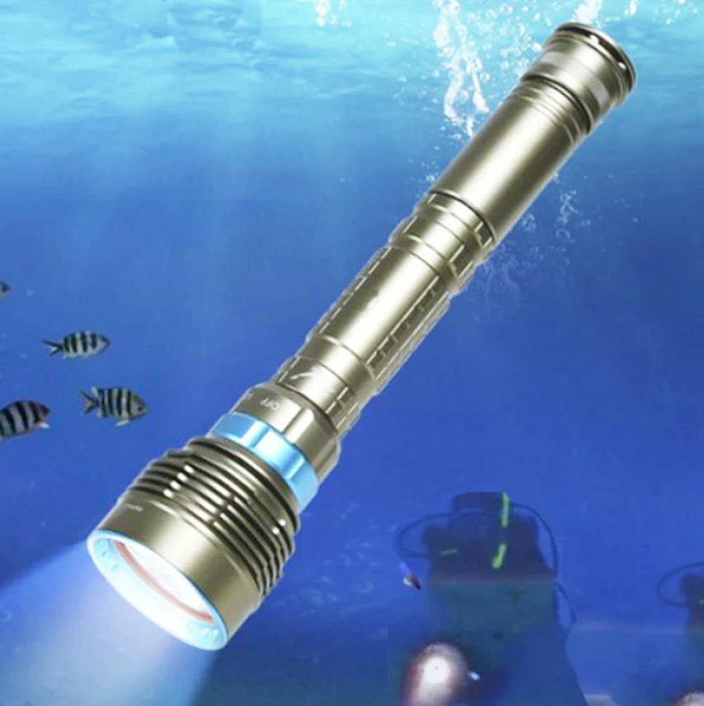 dive torch (1).jpg