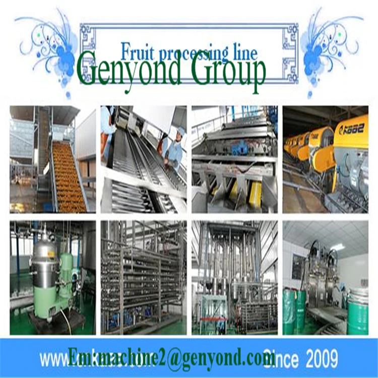 Fruit Leather/fruit Bar Production Line Buy Fruit Leather Production