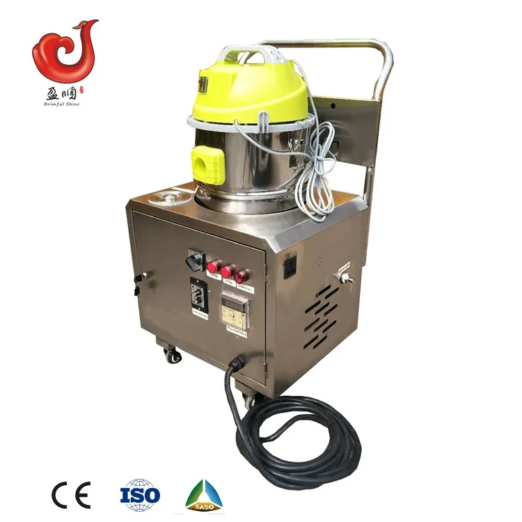 220240v Electric Steam Cleaner Wet Dry Steam Vacuum Cleaner For Outdoor Car Service Buy 220