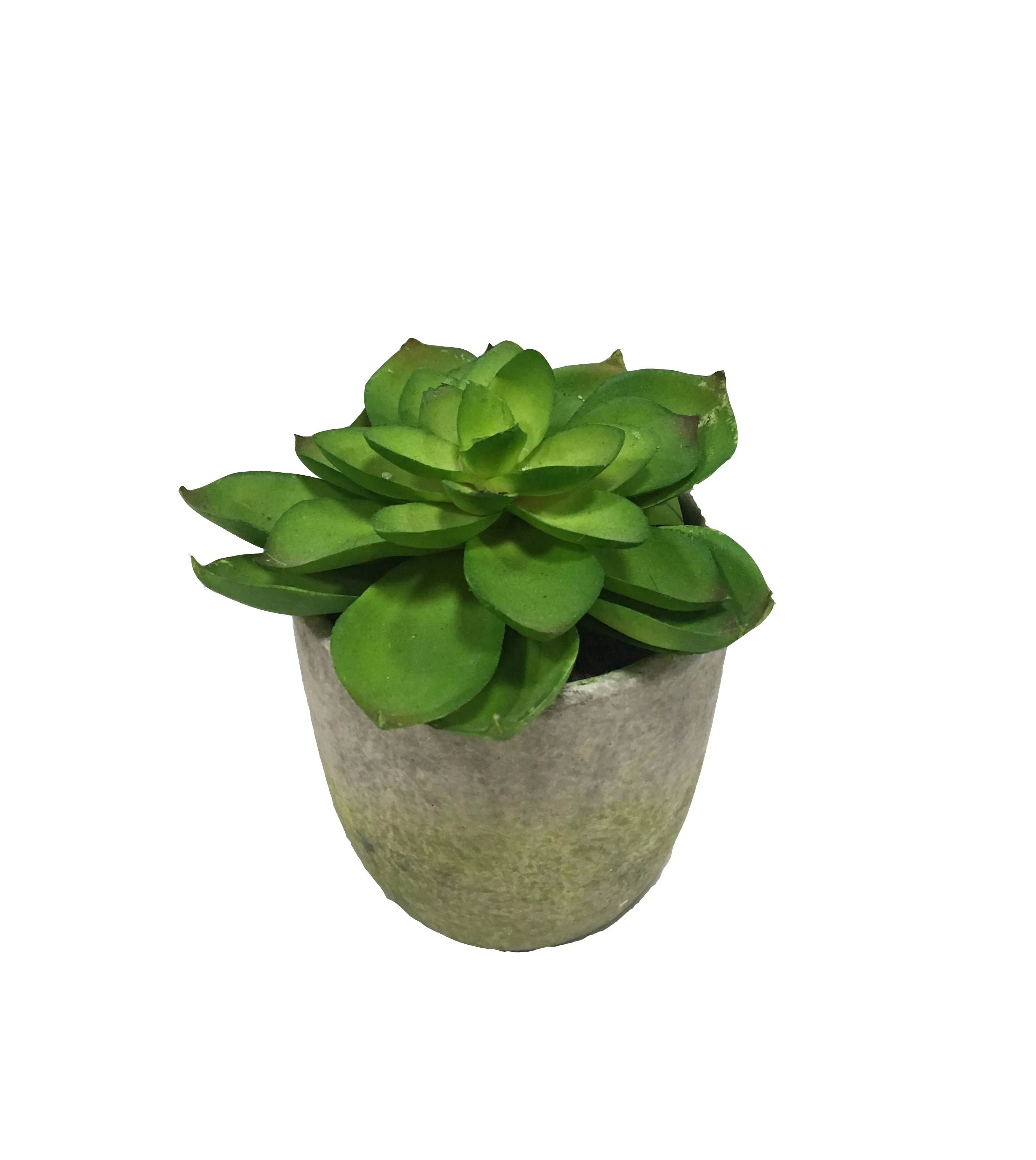 small artificial yellow and green faux succulent plants with
