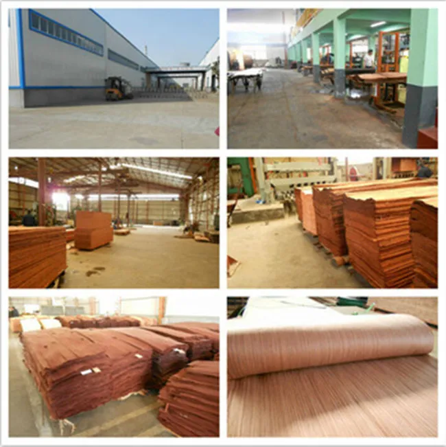 famous brand sliced cut white wood veneer for plywood Baiyi made