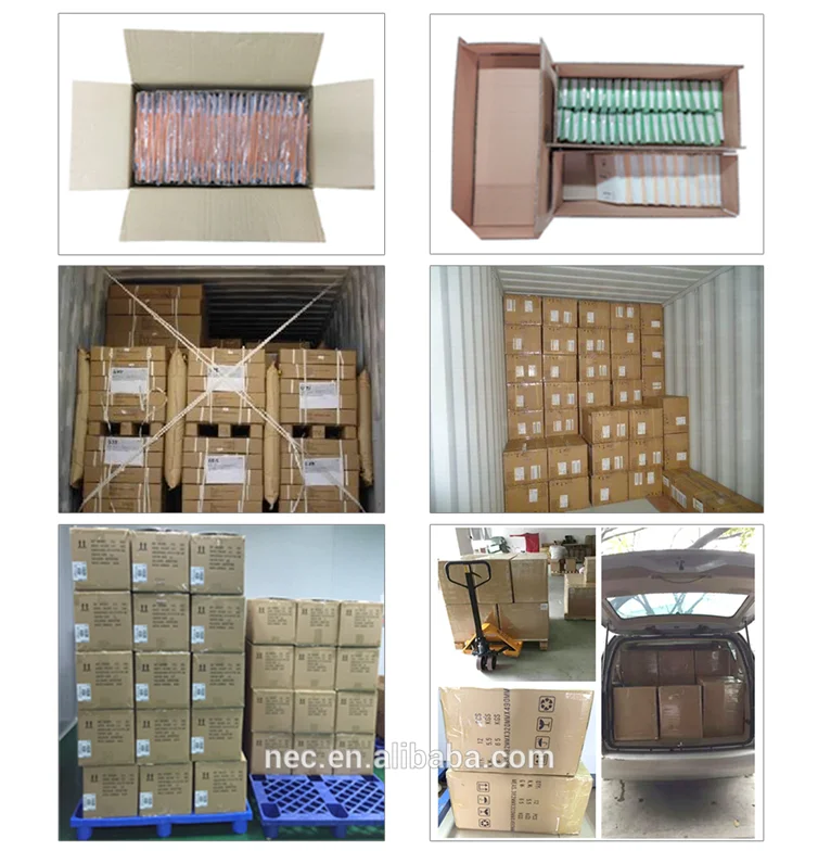 paste-pic-dp_uuid_0u21p