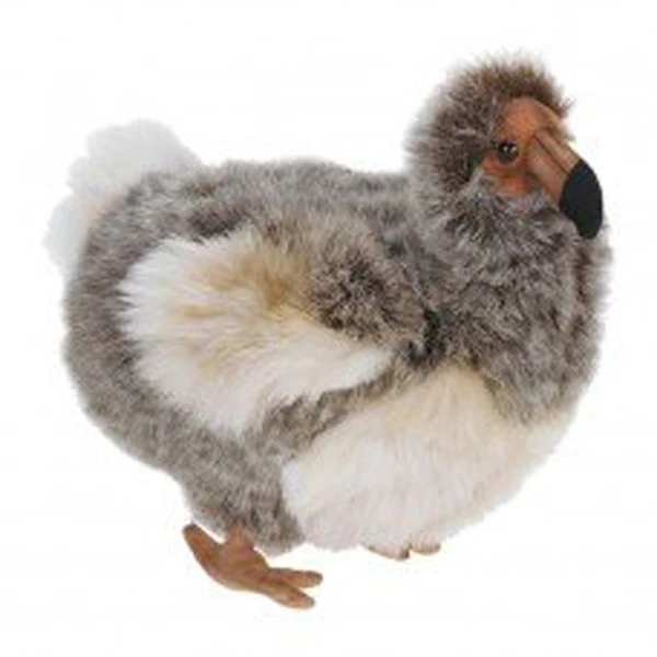 dodo bird stuffed