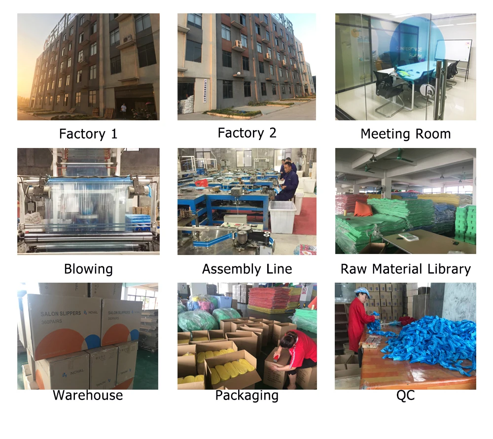 company & factory.jpg