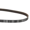 dynamo belt