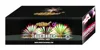 big fireworks cake 66shots with CE good quality and amazing effects consumer fireworks