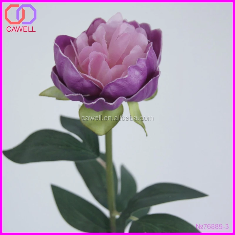 Real Natural Peony Wholesale Preserved Flower Buy Preserved Flower