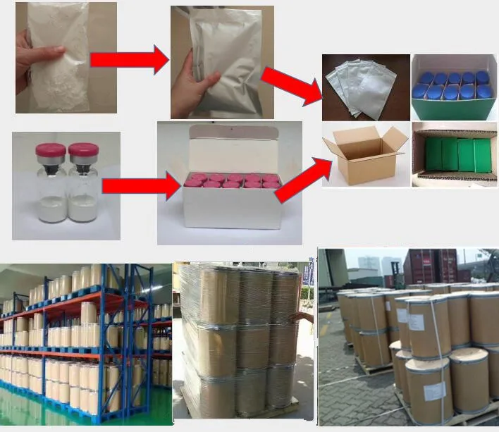 High Quality Benzylpenicillin Potassium 113-98-4 in stock fast delivery good supplier