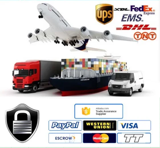 paste-pic-dp_uuid_qxp3r