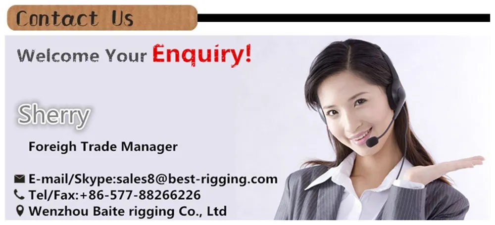 Mini Shackles AISI 304 316 Stainless Steel European Type D Shackle