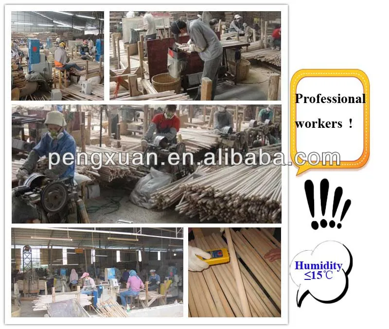 Professional Workers