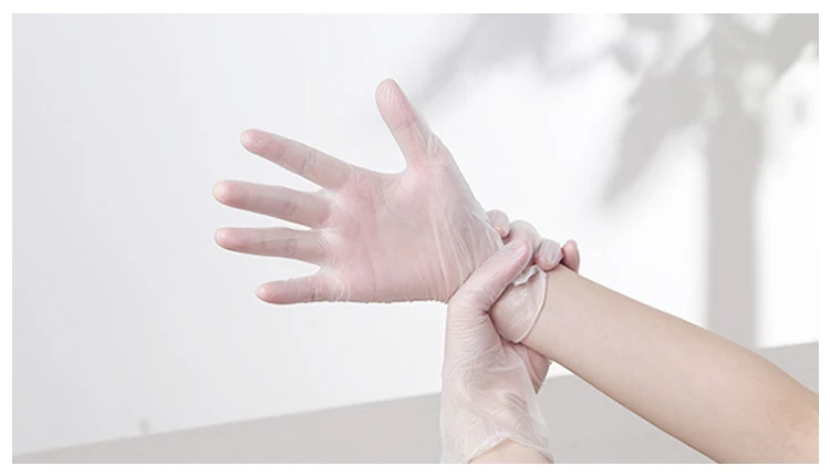 vinyl gloves powder free
