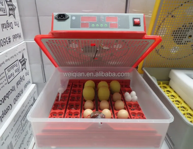 best incubator for parrot eggs