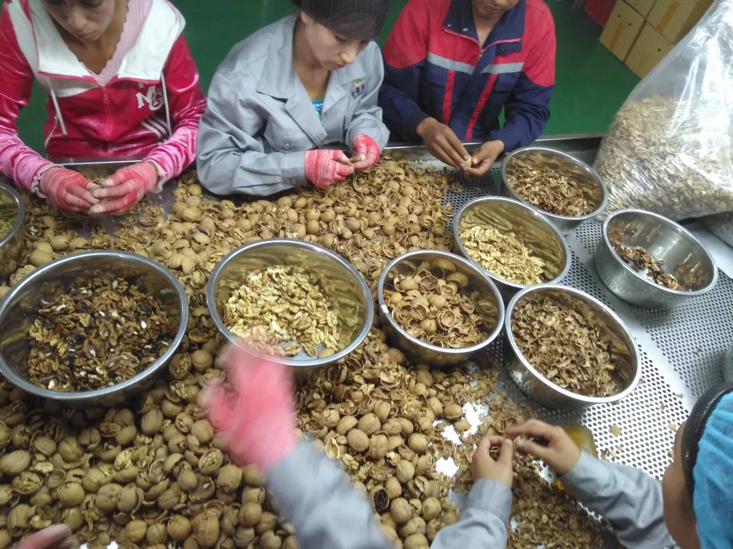 Hot selling Chinese xinjiang walnut kernel shelled light halves