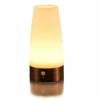 Ningbo Goldmore Indoor Battery Operated Wireless PIR Motion Sensor LED Table Lamp,LED Night Light for Kids Room