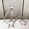 High Quality Plastic Human Halloween Skeleton
