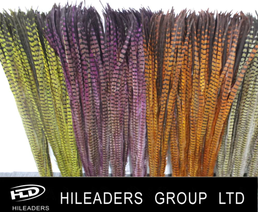 ringneck pheasant tail.jpg