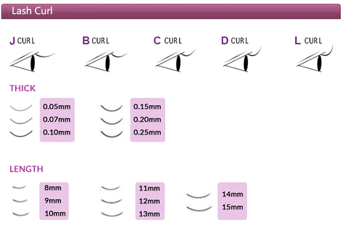 lash curl.jpg