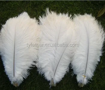 wedding feathers for sale