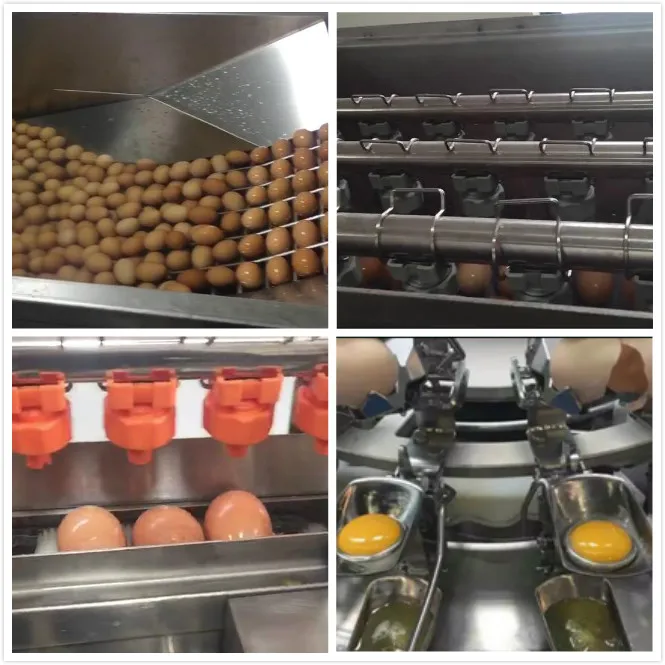 Professional Liquid Egg Processing Plant Gtebl8000s Egg White And Yolk