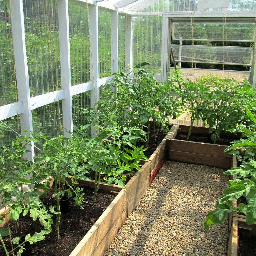 greenhouse1.jpg