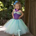 Ariel Inspired Princess Girls Dress Little Mermaid Inspired Birthday Party Dress for Kids Girl Purple Girls