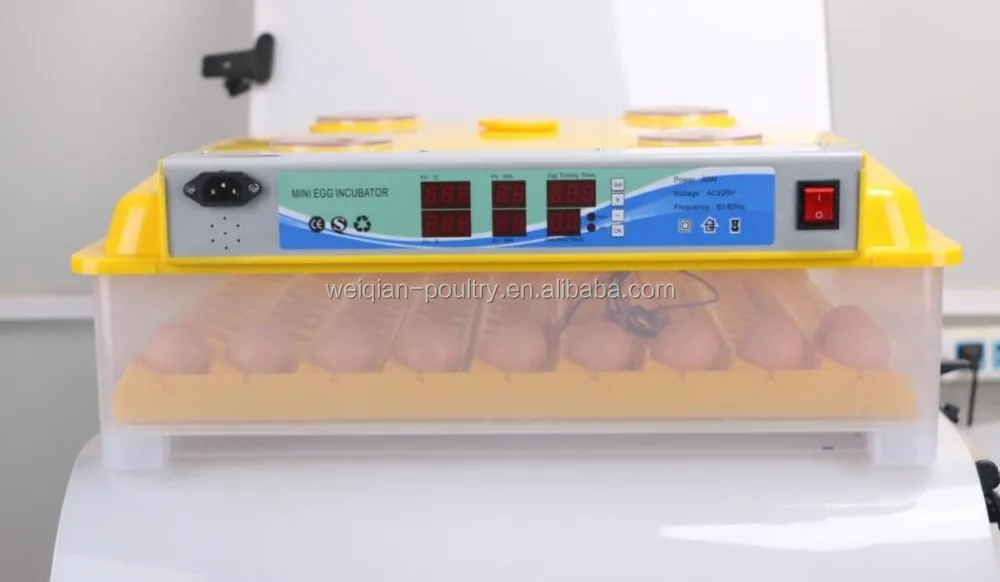 Mini Egg incubator 98. Инкубатор "WQ-24". Инкубатор 100 яиц автоматический. Мини -яичная экспериментальная.