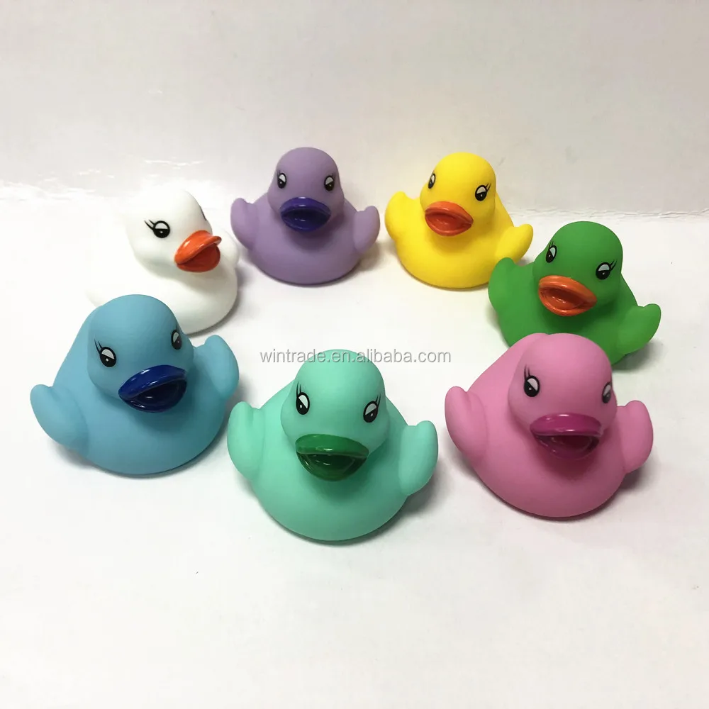 7 colors duck .jpg