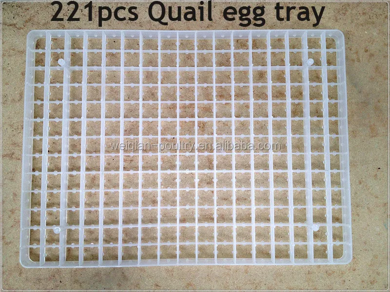 221eggs Quail Egg Tray For Incubator Buy 221eggs Quail Egg Tray,Quail