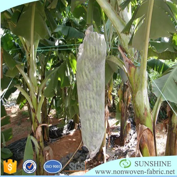 wholesale UV treated pp spunbond nonwoven banana bags,banana sleeve, banana growing protection cover
