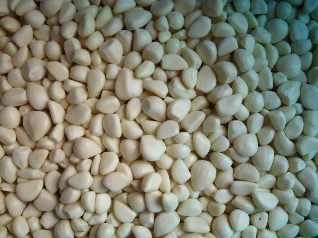 IQF Garlic cloves 2.jpg
