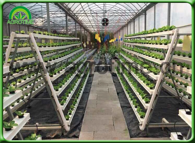 indoor grow setup.jpg