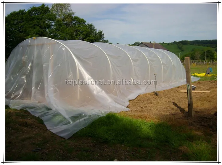 High Strength Uv Stabilized Clear Color 200 Micron Greenhouse Film