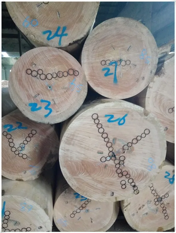 plywood face veneer /okoume wood veneer/veneer brands in india