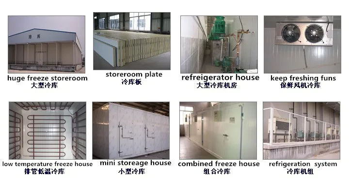 Factory sale Quick Frozen Cold Room for Pizza/Meat/Fish/Chicken/Vegetable