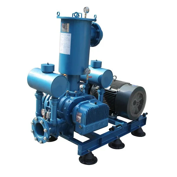 Hdsrv Series Roots Type Vacuum Pump High Pressure With Air Cooling